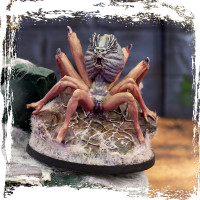 Discípulos de las Tejedoras. Criatura (garras) Discípulos de las Tejedoras. Criatura (garras)