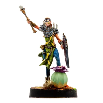 Paladín con maza y escudo